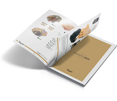 brochure interactive